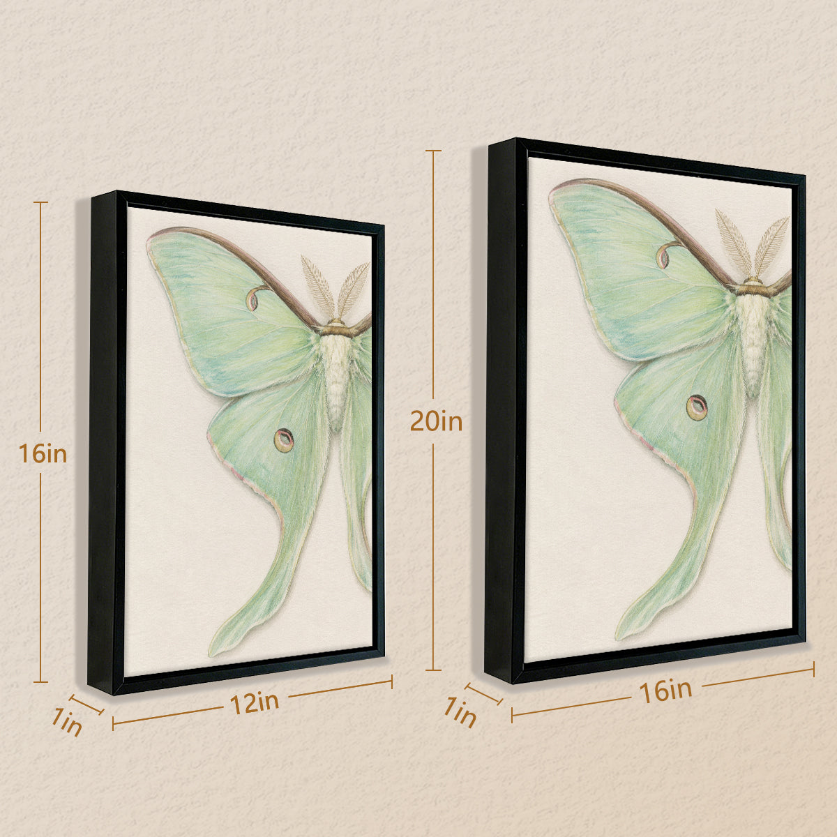 Framed Art Print of a Luna Moth, Botanical Style, High-Quality Paper, Perfect for Home Decor in Any Room
