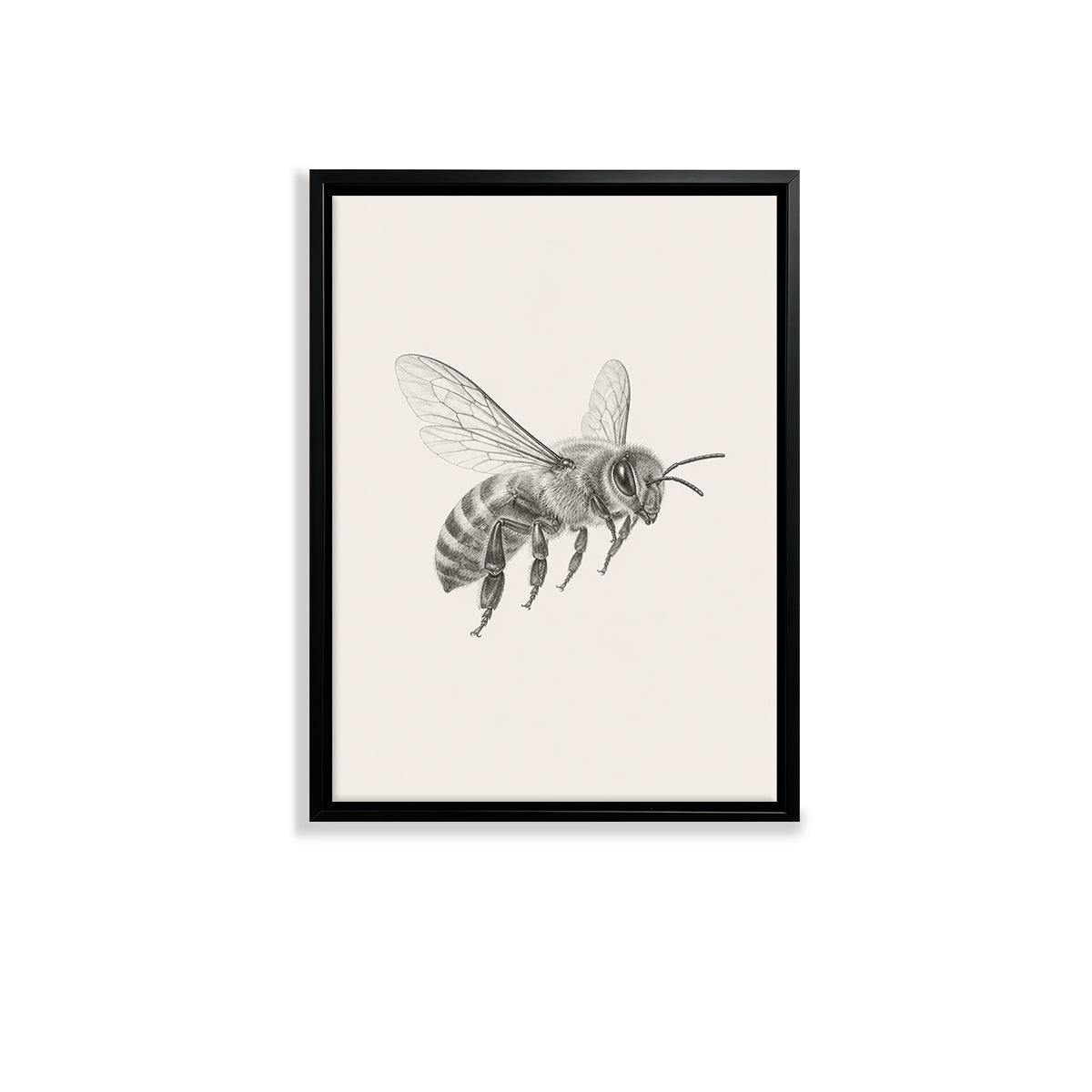 Framed Bee Illustration Art Print, Vintage Style, High-Quality Giclee, Perfect for Home Decor in Any Room