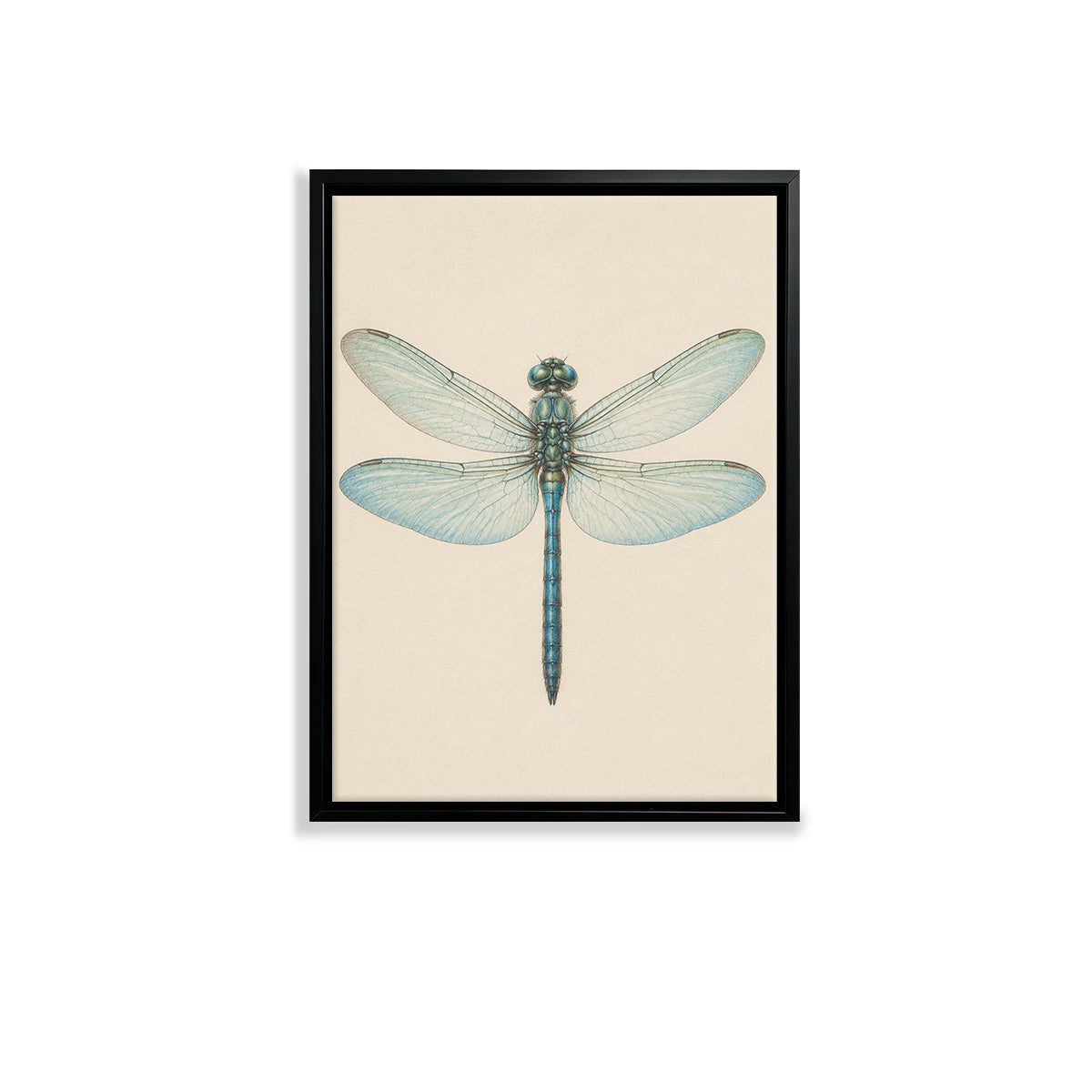 Framed Dragonfly Art Print, Vintage-Inspired Nature Illustration, High-Quality Matte Paper, Perfect Home Decor for Any Room