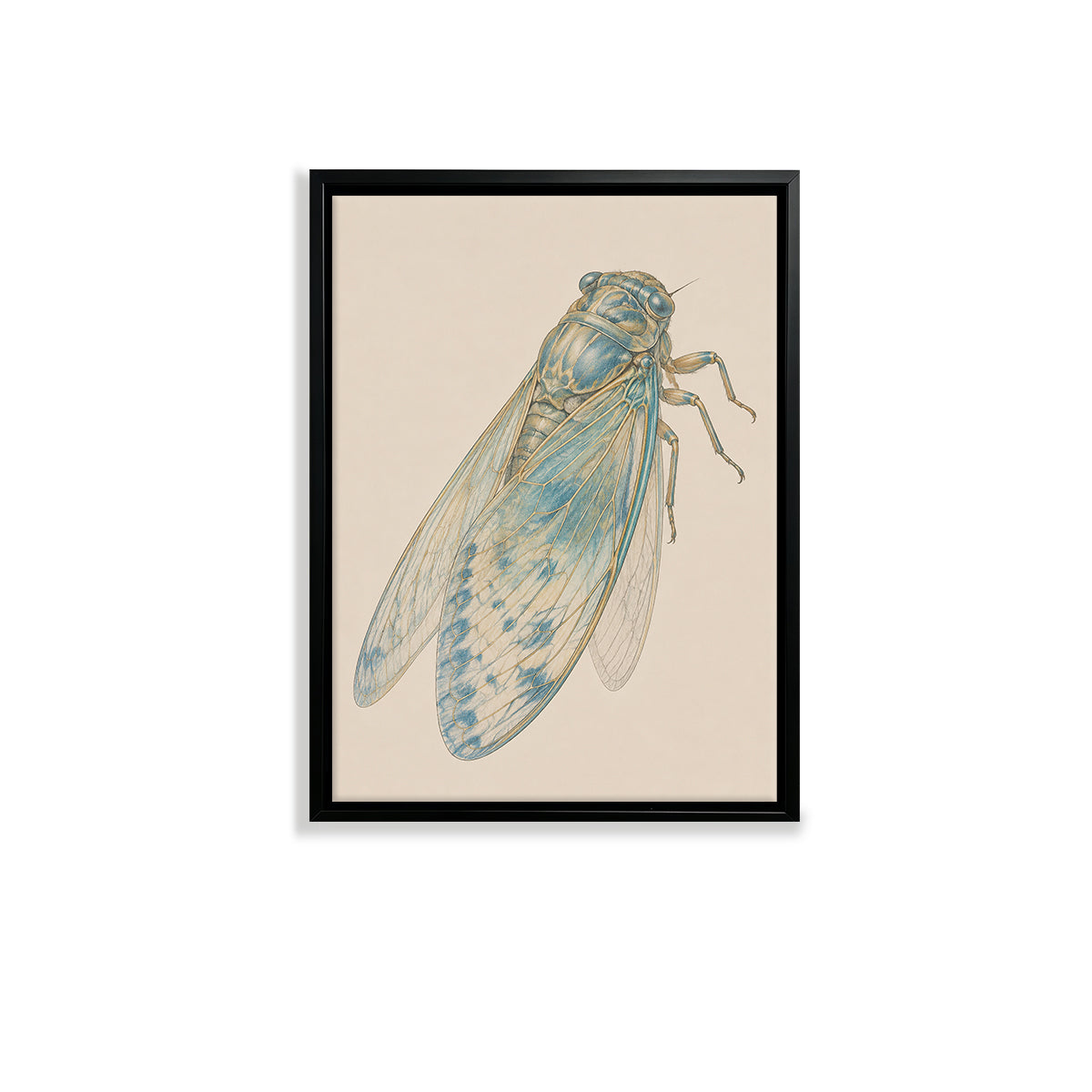 Framed Art Print of Blue Cicada Illustration, Vintage Style, High-Quality Giclee on Canvas, Perfect for Home Decor in Any Room