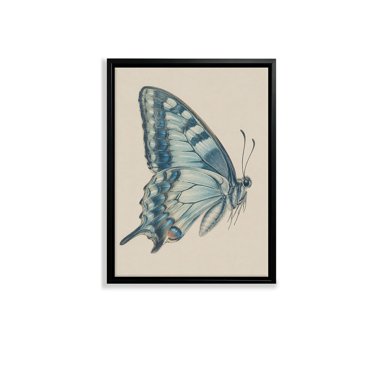 Framed Blue Butterfly Art Print, Vintage-Inspired Home Decor, High-Quality Giclee on Canvas, Perfect for Living Room or Bedroom