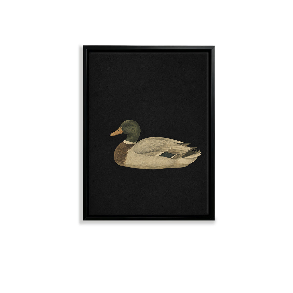 Framed Duck Art Print, Vintage Style, High-Quality Canvas, Perfect for Home Decor in Any Room