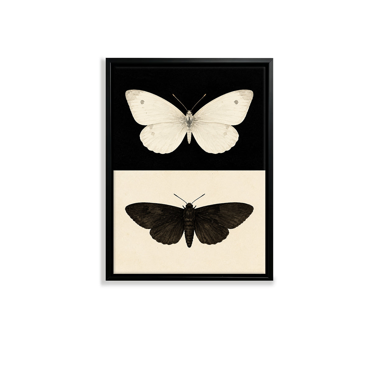 Framed Butterfly Art Print Featuring White and Black Moth Designs, Elegant Home Decor for Any Room