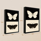 Framed Butterfly Art Print Featuring White and Black Moth Designs, Elegant Home Decor for Any Room