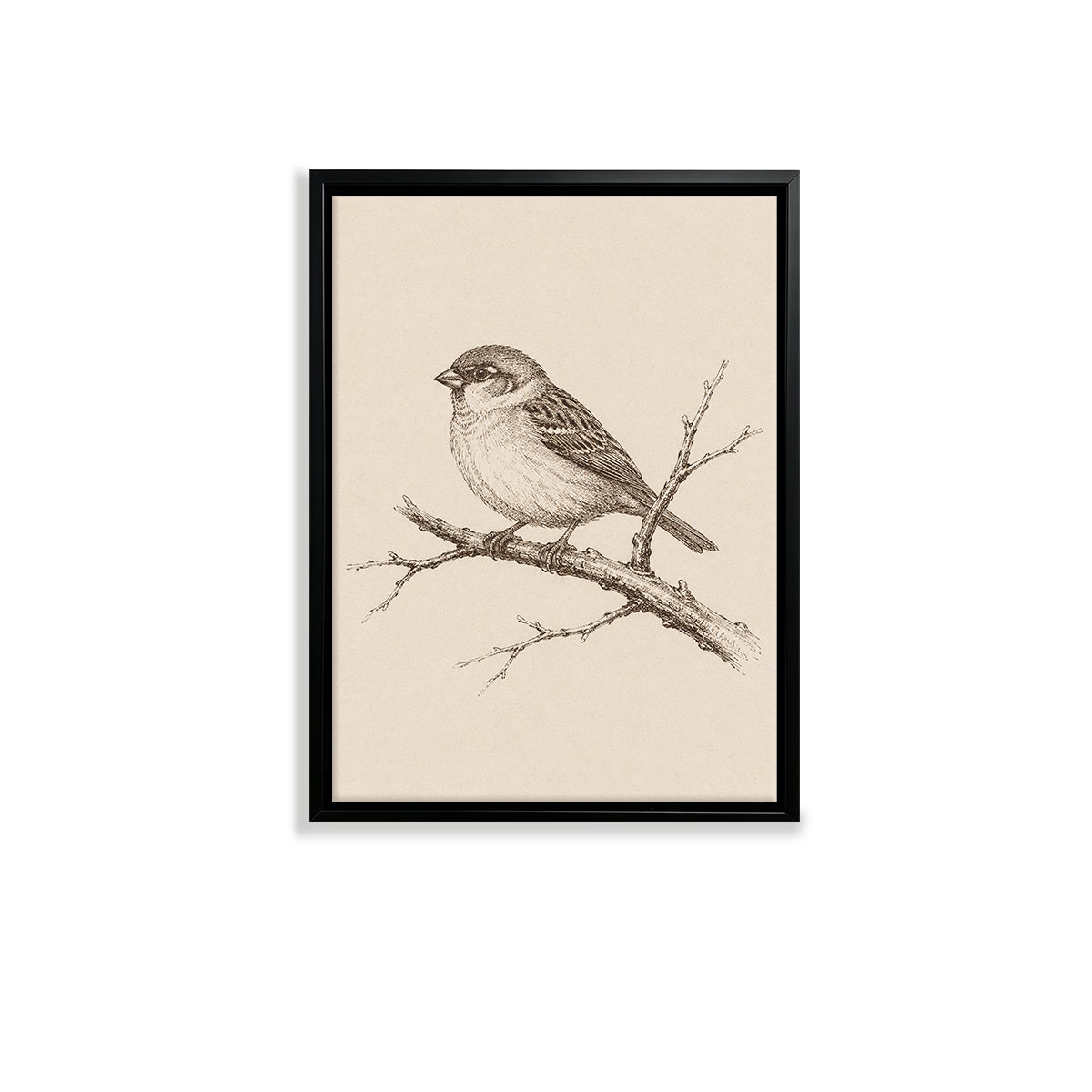 Framed Sparrow Illustration Print, Vintage Style, High-Quality Artwork for Home Decor