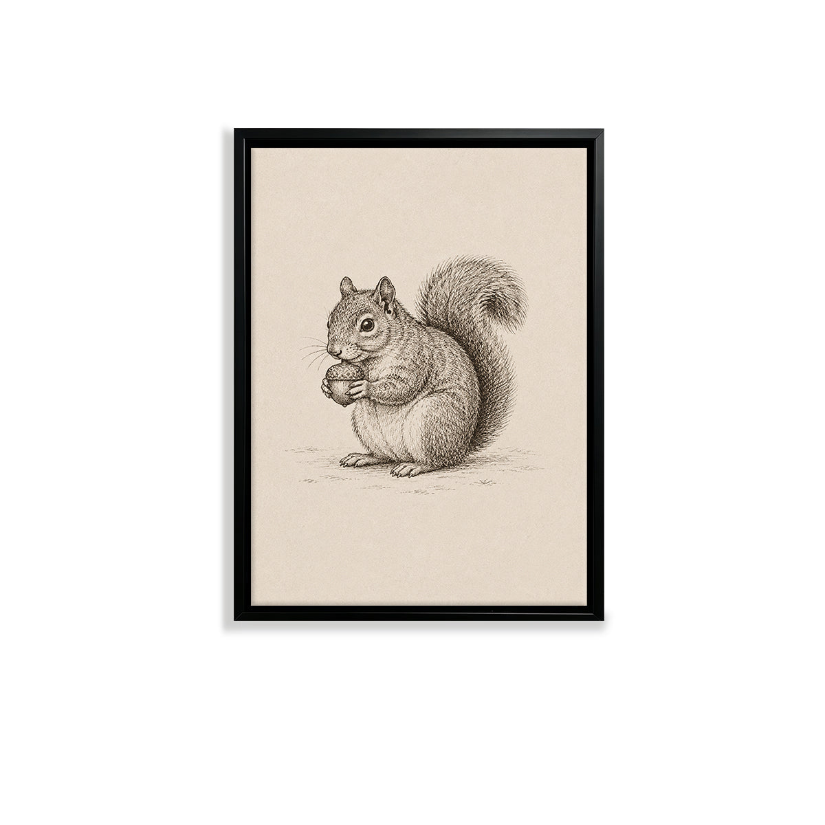 Framed Squirrel Illustration Art Print, Vintage Style, High-Quality Paper, Perfect Home Decor for Any Room