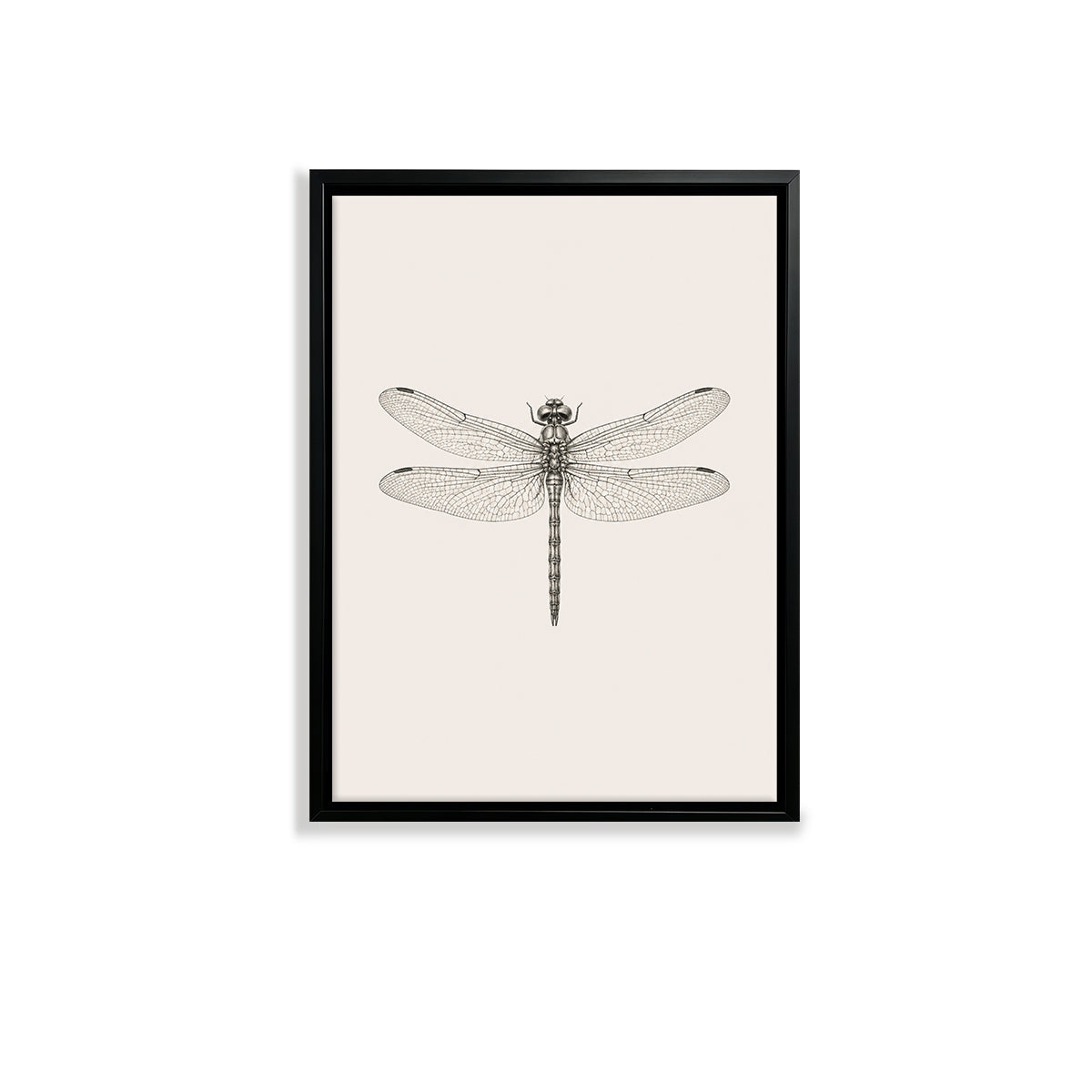 Framed Dragonfly Art Print, Vintage Style, High-Quality Giclee on Canvas, Perfect for Home Decor in Any Room