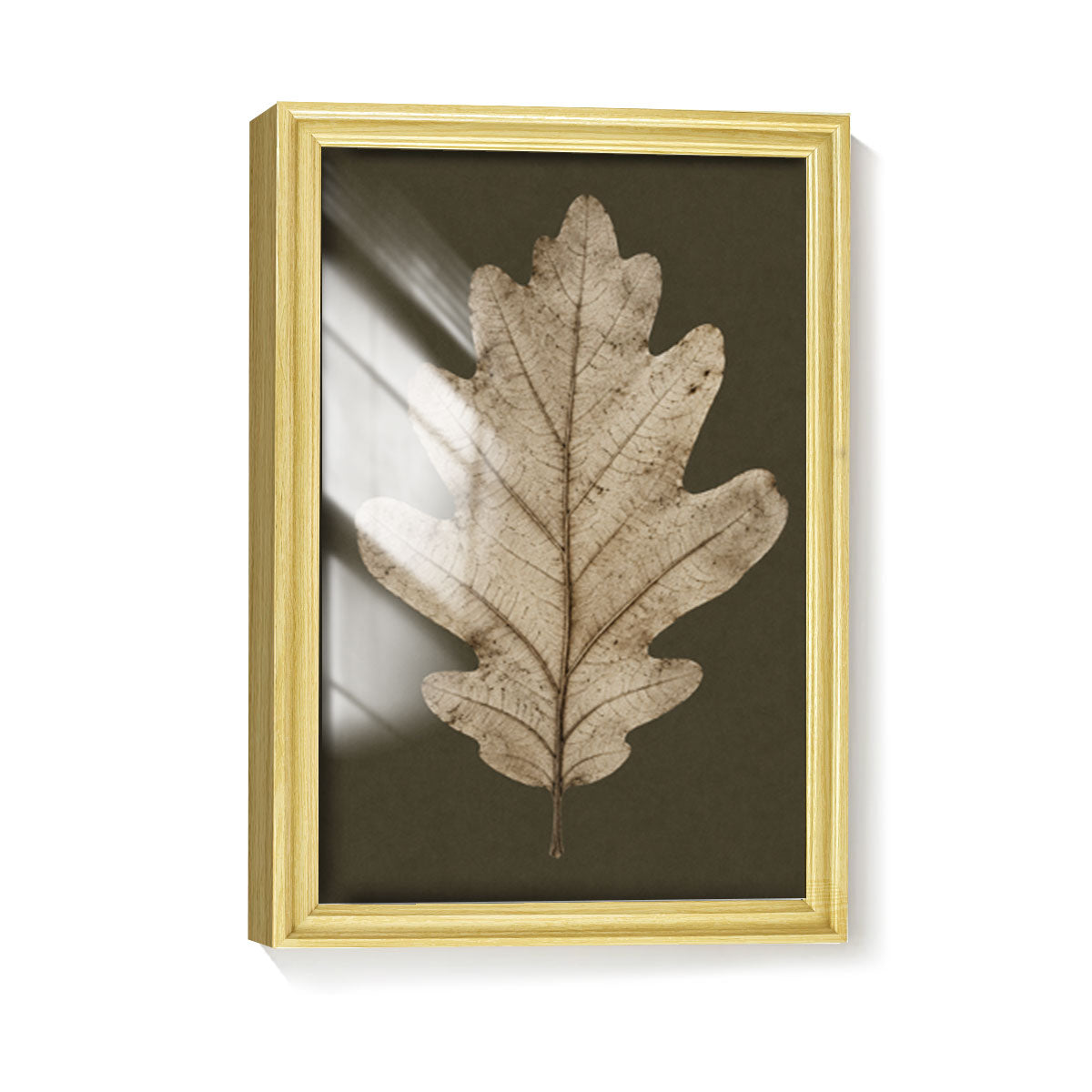 Vintage Botanical Leaf Canvas Wall Art Earth Tone Framed Decor Gift