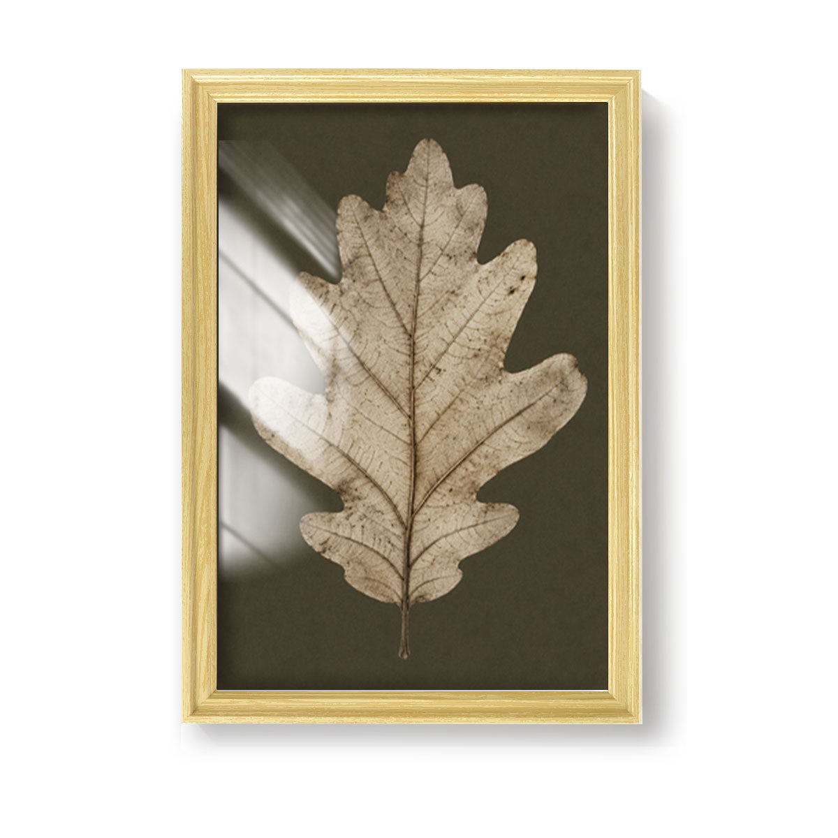 Vintage Botanical Leaf Canvas Wall Art Earth Tone Framed Decor Gift
