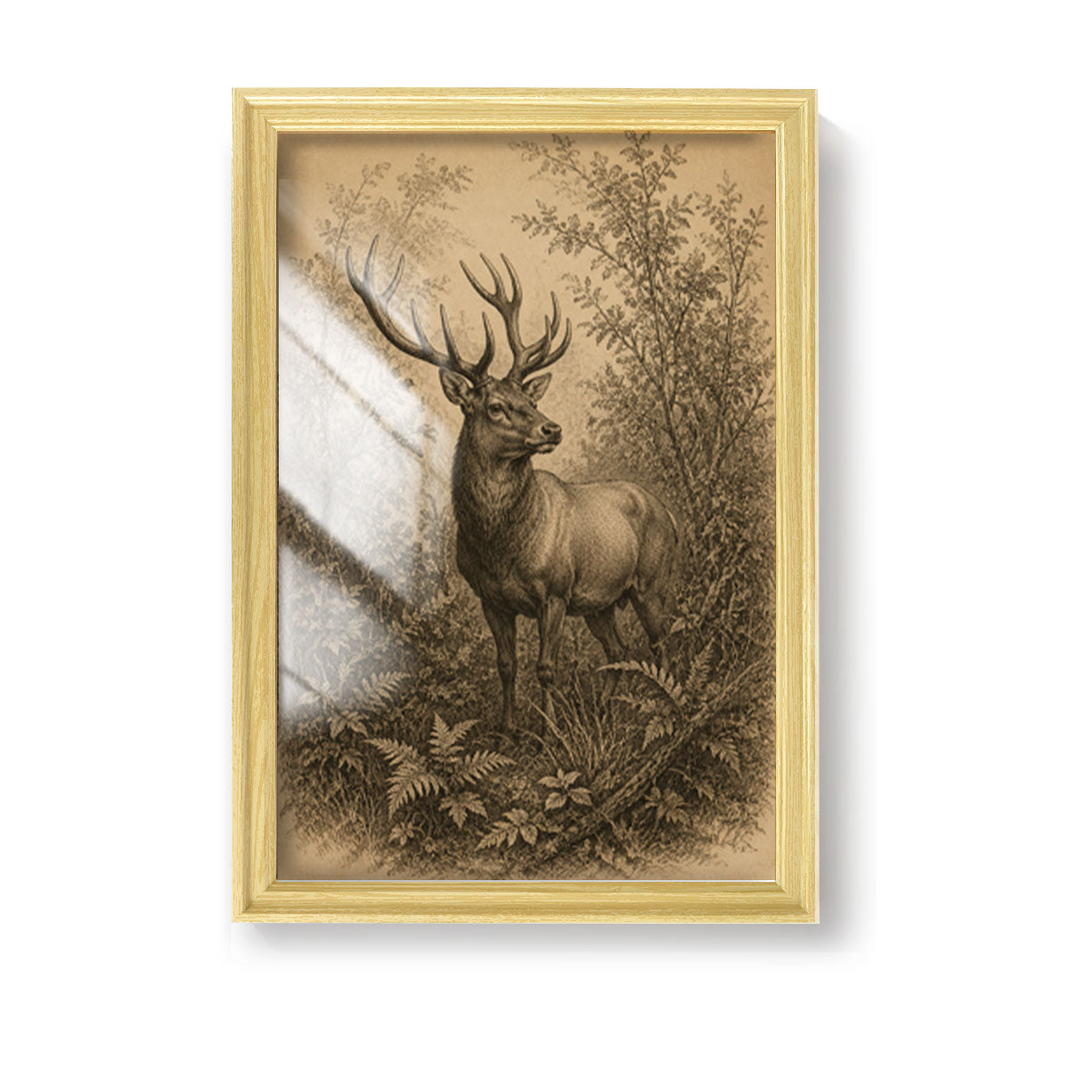 Vintage Etching Forest & Wildlife Canvas Wall Art Rustic Framed Home Decor